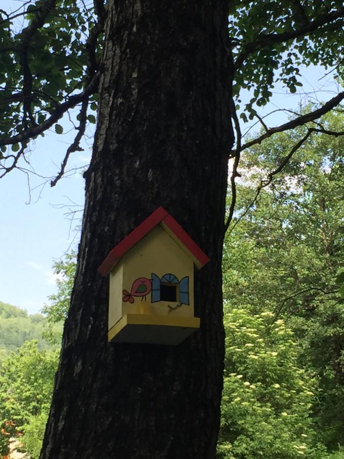 Eco Kutak Ferienhaus Mojkovac